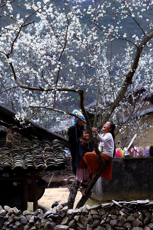 Den-Ha-Giang-dip-dau-xuan-wetrekvn