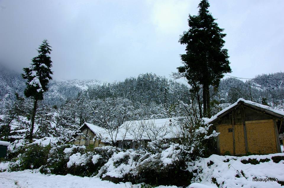 Di-dau-de-ngam-tuyet-wetrekvn.jpg