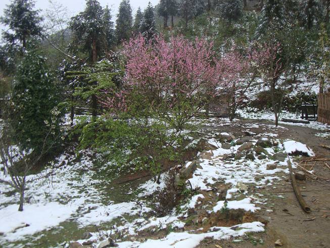 Di-dau-de-ngam-tuyet-wetrekvn.jpg
