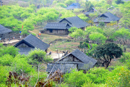 Doi-gio-dip-30-4-voi-Moc-Chau-diem-den-ly-tuong