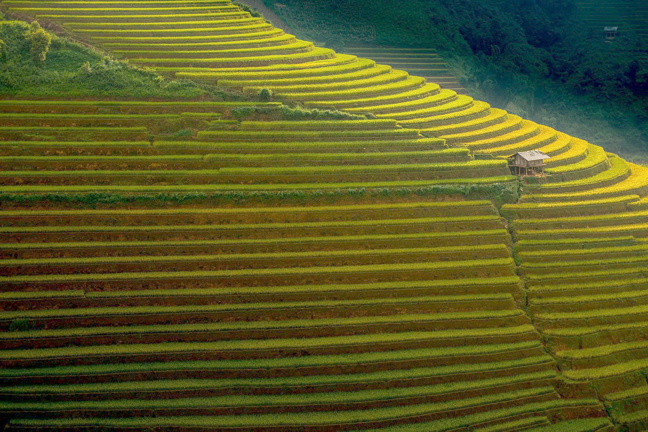 Hoang-Su-Phi-ngam-lua-thoa-chi-tang-bong-wetrekvn.jpg