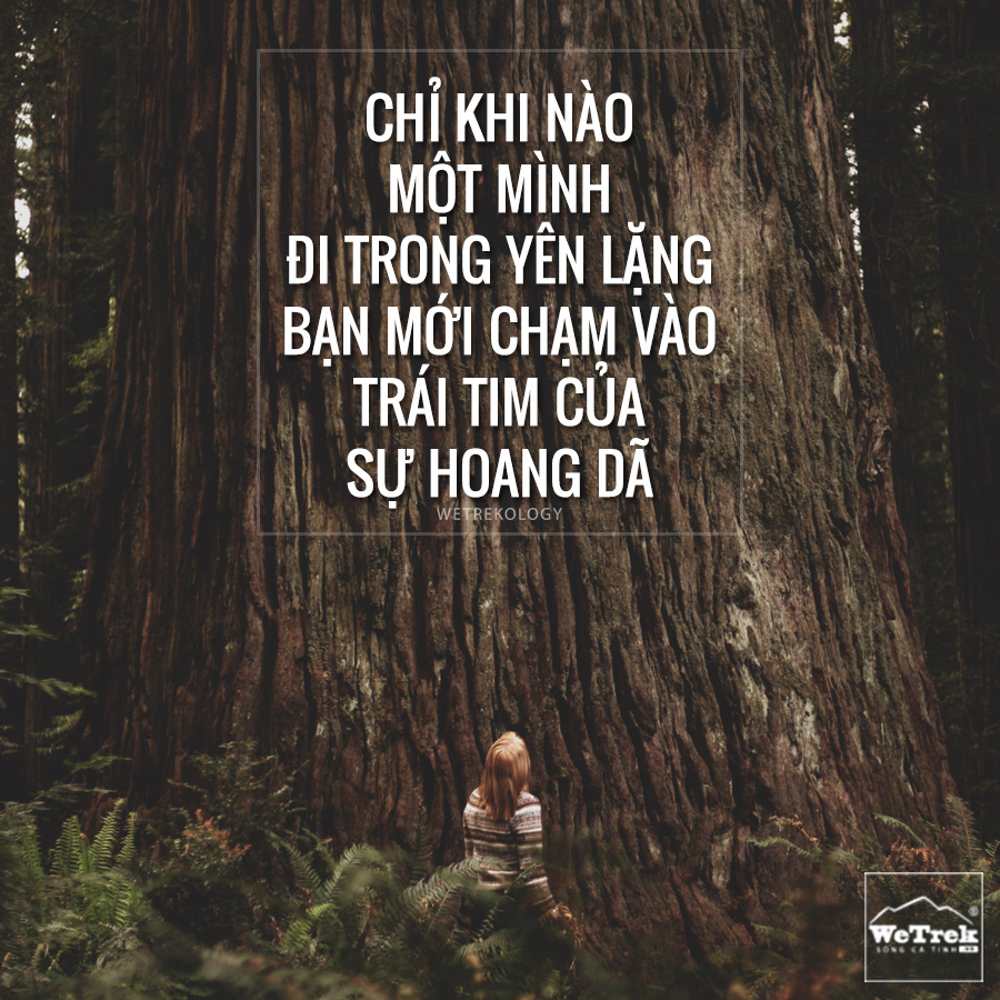 Nhung-cau-noi-bat-hu-ve-Outdoor-tren-WeTrek.vn.jpg