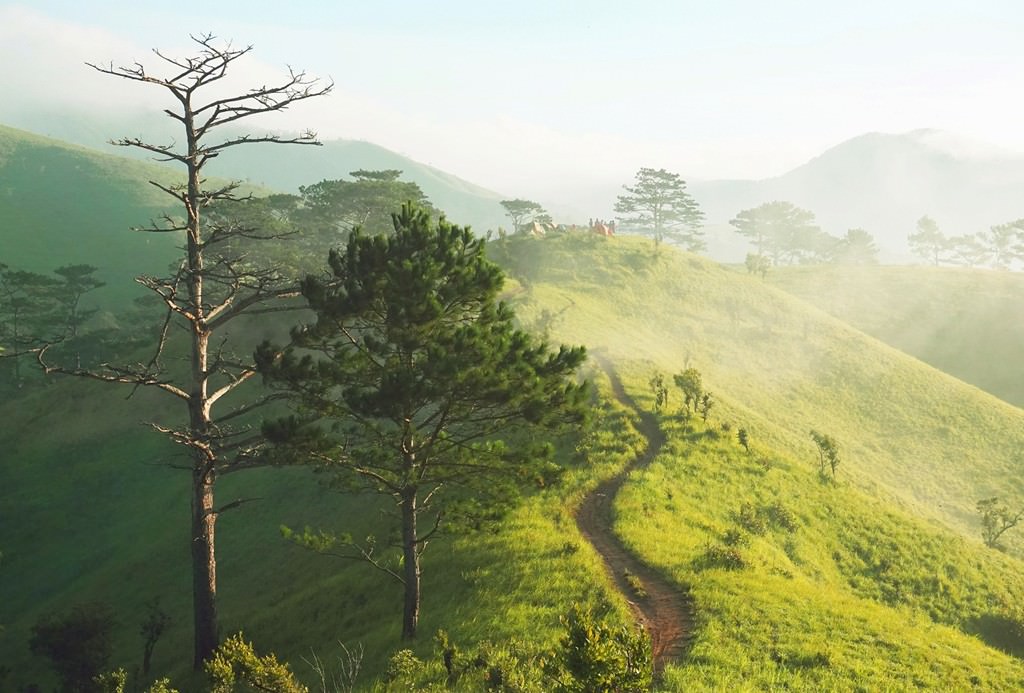 Nhung-cung-trekking-dep-nhat-Viet-Nam-wetrekvn.jpg
