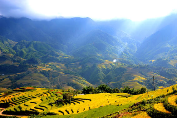 Nhung-diem-san-lua-dep-nhat-mien-Bac.jpg