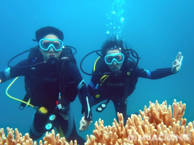 Top-5-dia-diem-lan-bien-o-Viet-Nam-khong-the-bo-qua-wetrekvn.jpg
