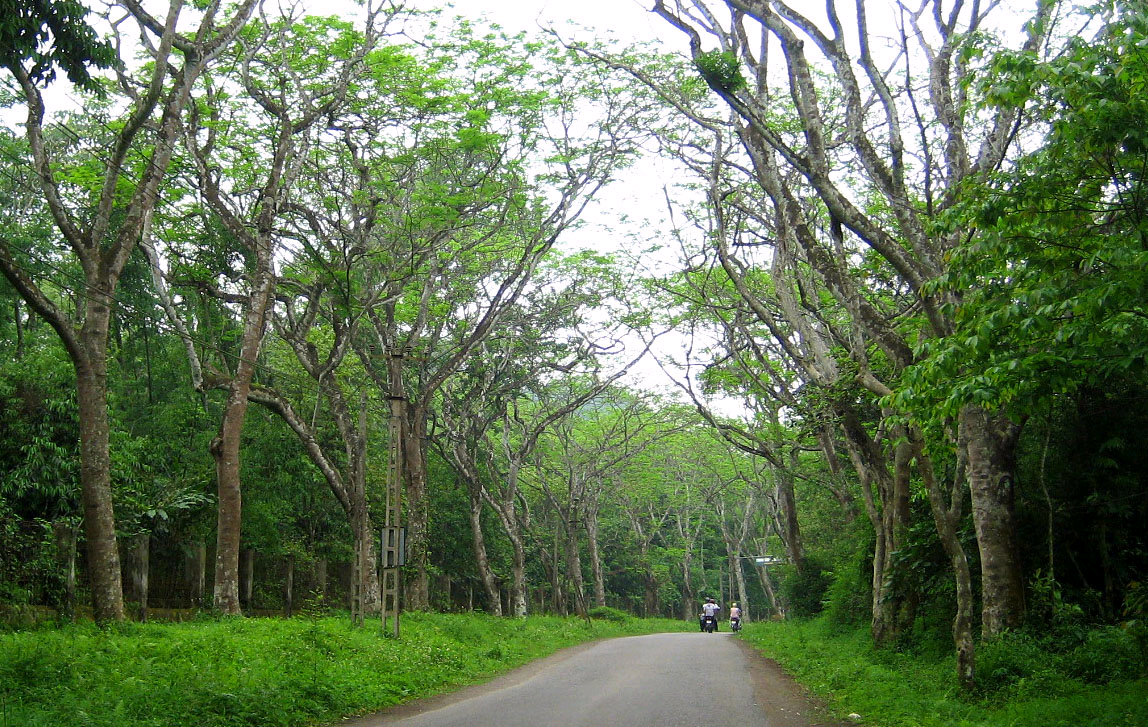 Trai-nghiem-outdoor-ngam-ho-diep-rop-troi-o-Cuc-Phuong-wetrekvn