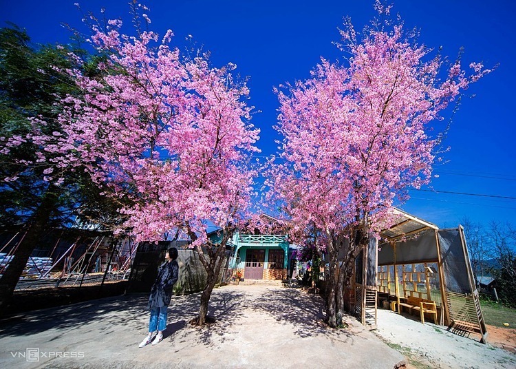 4 hành trình hấp dẫn dịp tết dành cho dân ưa "dịch chuyển"3