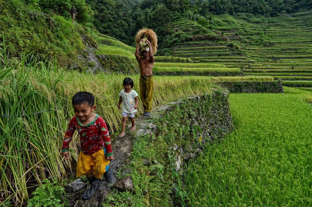 4 trải nghiệm hấp dẫn và trekking săn mây chỉ có ở Philippines11