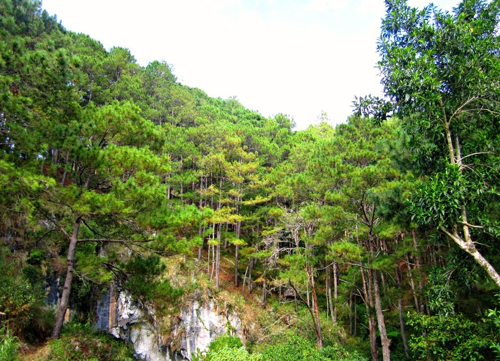 4 trải nghiệm hấp dẫn và trekking săn mây chỉ có ở Philippines3