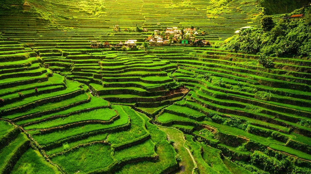 4 trải nghiệm hấp dẫn và trekking săn mây chỉ có ở Philippines10