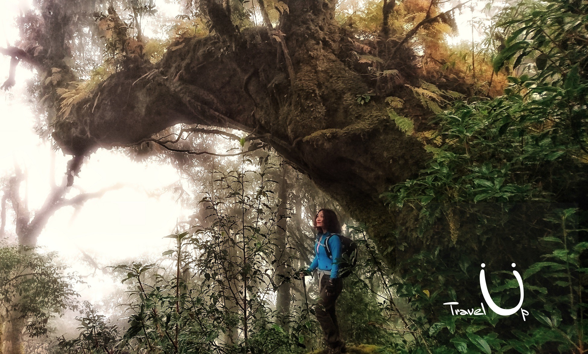 5 cung đường trekking dành cho người mới5