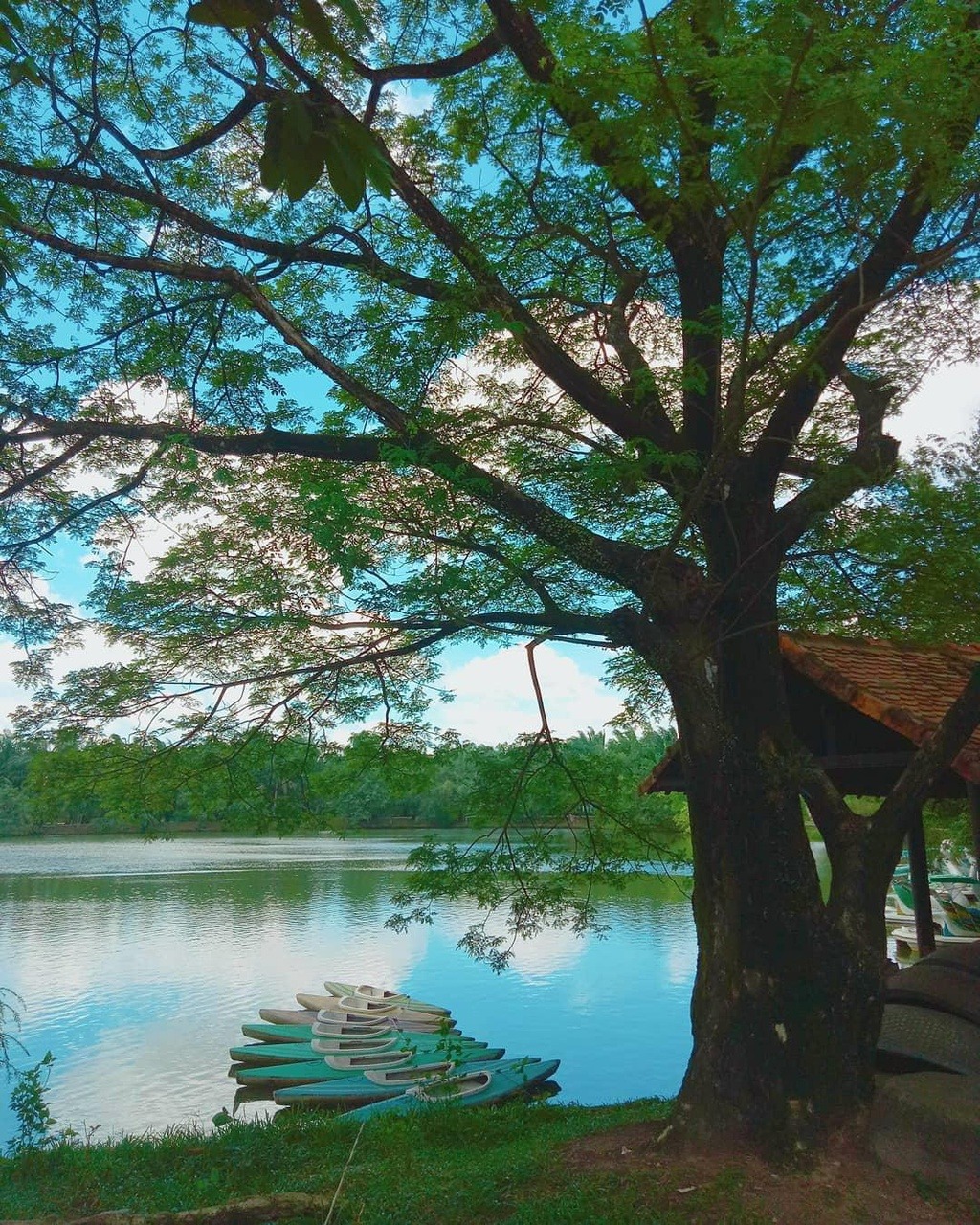 5 điểm du lịch nổi tiếng tại Đồng Nai 5