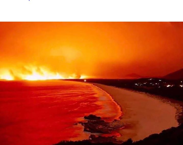 Australia thiệt hại nặng nề về du lịch sau cháy rừng3