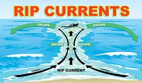 Bật mí cách phòng tránh những nguy hiểm tiềm tàng khi đi biển dành cho bạn9