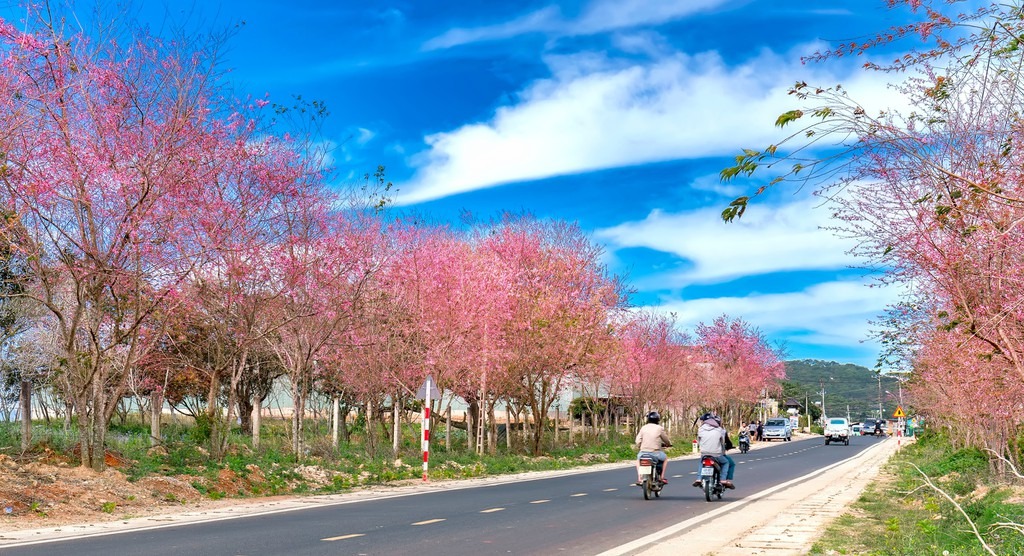 Các địa điểm du lịch mà các gia đình nên đi vào đầu năm 2020 1