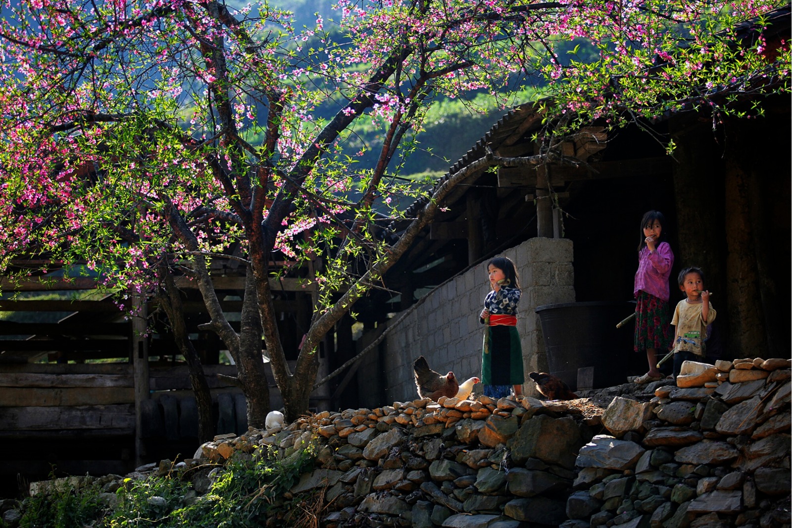 Chia sẻ kinh nghiệm du xuân Hà Giang4