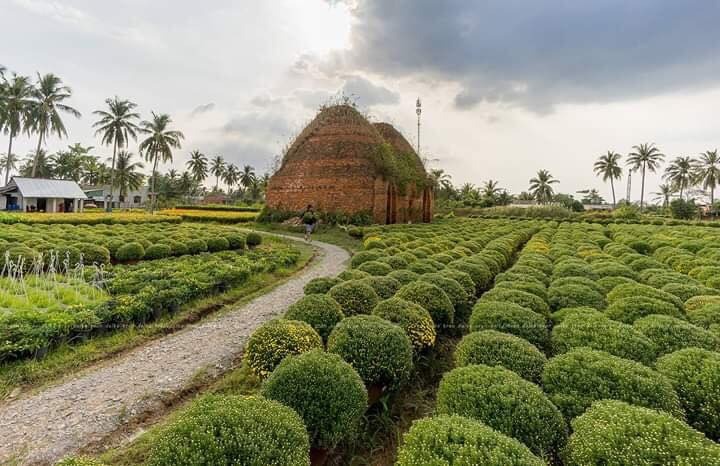 Chiêm ngưỡng những làng hoa nổi tiếng cho dân check-in những ngày giáp tết3
