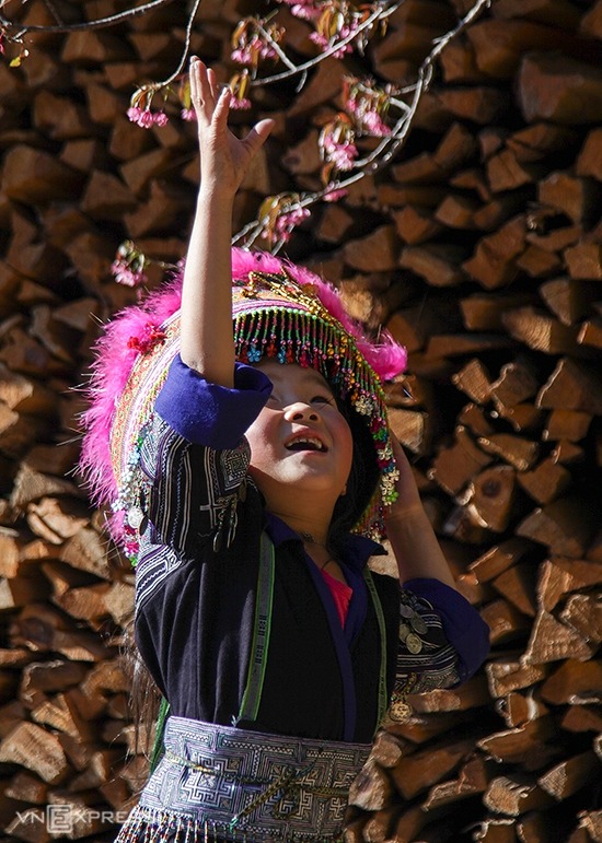 Chiêm ngưỡng sắc hoa đào rừng giữa đại ngàn tại Yên Bái4