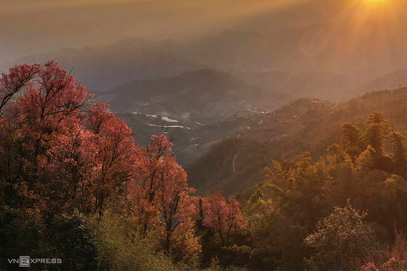 Chiêm ngưỡng sắc hoa đào rừng giữa đại ngàn tại Yên Bái9