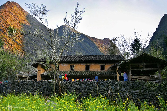 Chiêm ngưỡng sắc xuân trên cao nguyên đá 8