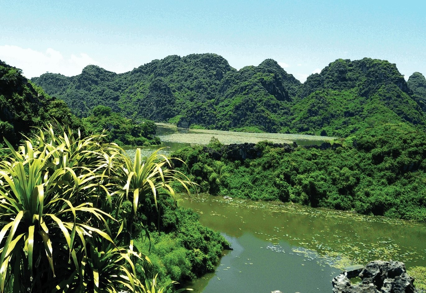 Cùng nhau trải nghiệm leo núi tại Hà Nội3
