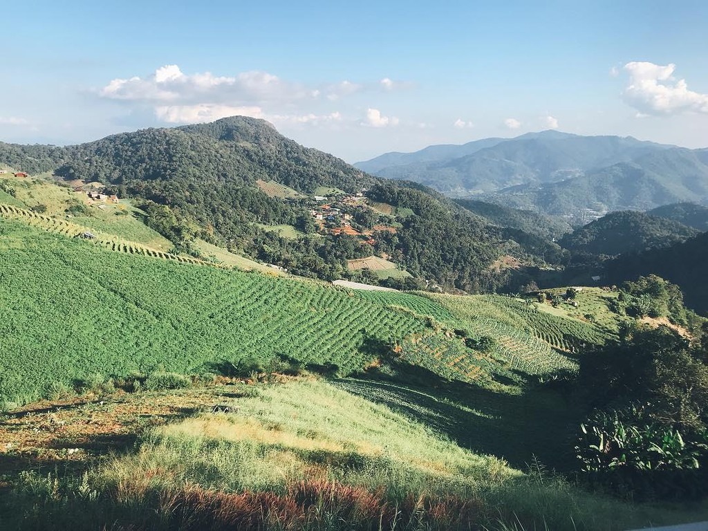 Đến Chiang Mai ngắm nhìn núi rừng xanh ngút ngàn18
