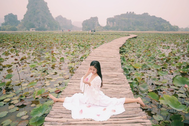 Đến Ninh Bình mùa đông này để chiêm ngưỡng vẻ đẹp hoang sơ của Sen và Cỏ Lau