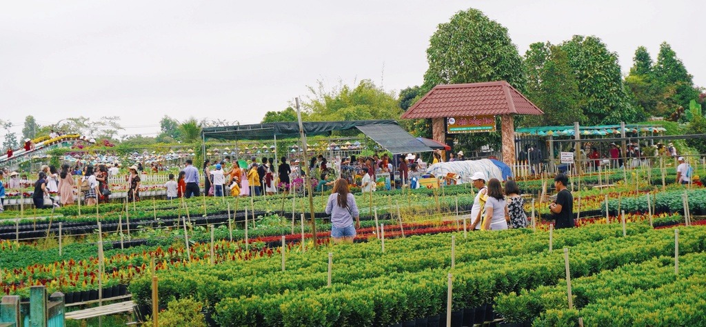 Đến Sa Đéc, check-in làng hoa tha hồ gom ảnh đẹp3