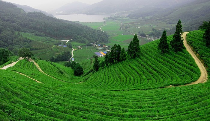 Đến Thái Nguyên thì không thể bỏ qua những điểm du lịch này 6