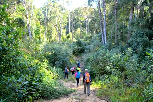 Điểm qua 5 cung đường trekking ở Miền Trung - Tây Nguyên 5