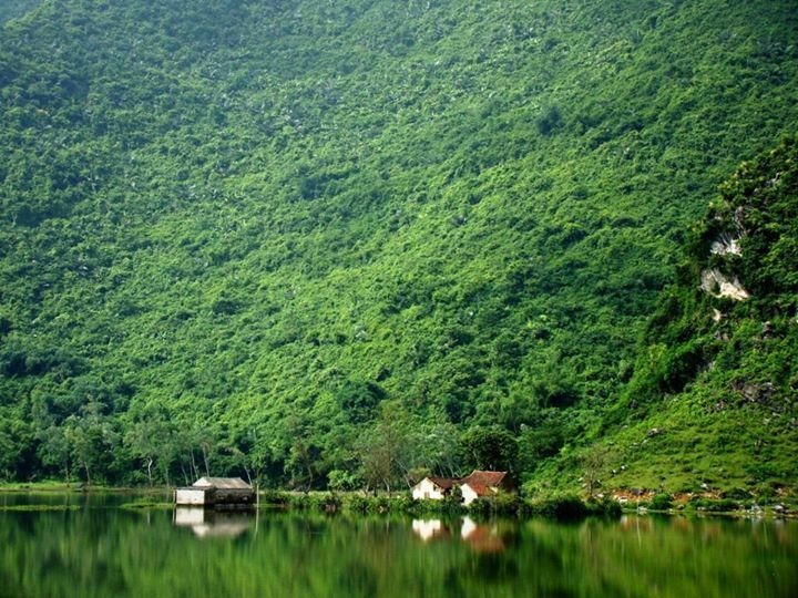 Hành trình về với thiên nhiên và trải nghiệm nét hoang sơ của rừng Cúc Phương2