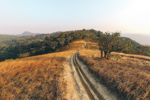 Khám phá cung đường trekking đẹp nhất Việt Nam mùa cỏ cháy1