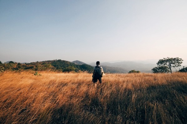 Khám phá cung đường trekking đẹp nhất Việt Nam mùa cỏ cháy14