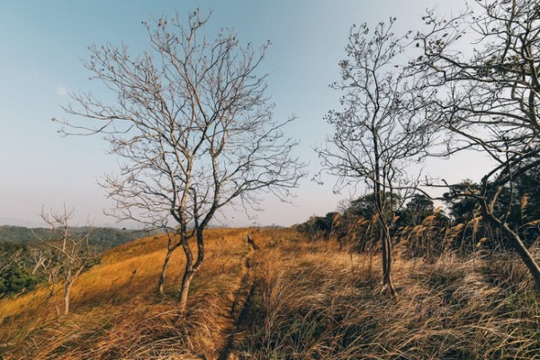 Khám phá cung đường trekking đẹp nhất Việt Nam mùa cỏ cháy10