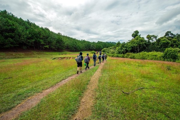 Khám phá cung đường trekking đẹp nhất Việt Nam mùa cỏ cháy11