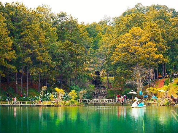 Khám phá Thung Lũng Vàng - địa điểm check in tại Đà Lạt8