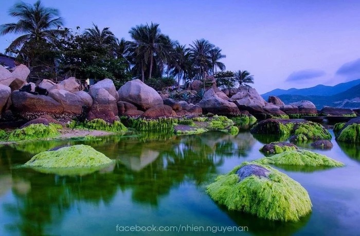 Khánh Hòa còn nơi nào để khám phá ngoài Nha Trang?3