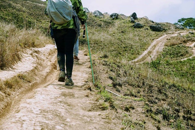 Làm sao để có chuyến đi dã ngoại trong rừng hiệu quả? 5
