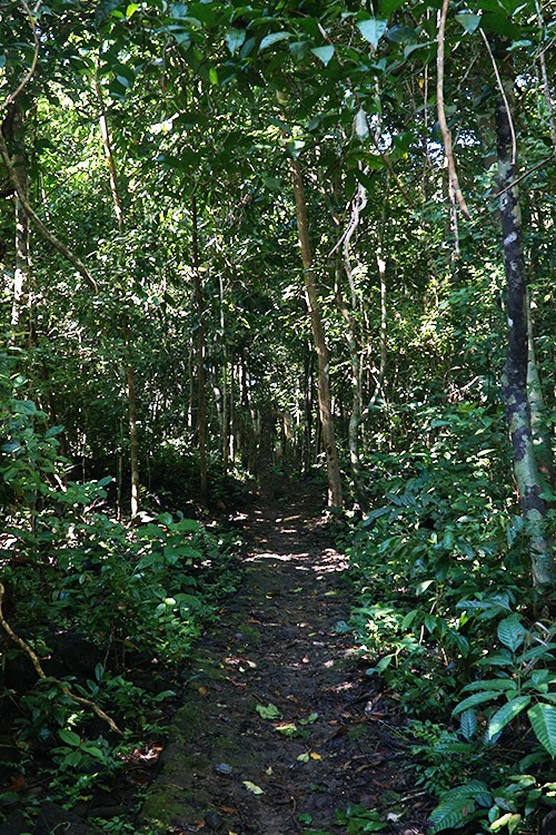 Những cung đường trekking nên đến một lần trong đời 2