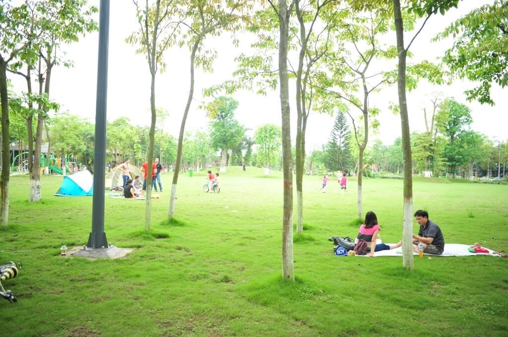 Những điểm du lịch dành cho gia đình có trẻ nhỏ 4