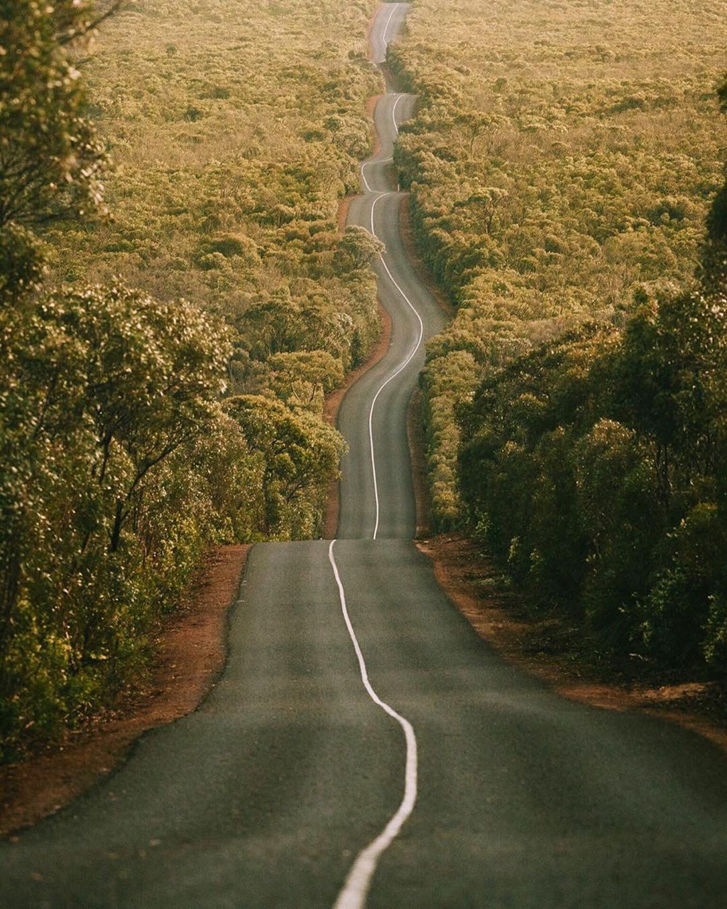 Những hình ảnh đối lập trước và sau vụ cháy tại Australia khiến nhiều người bàng hoàng1