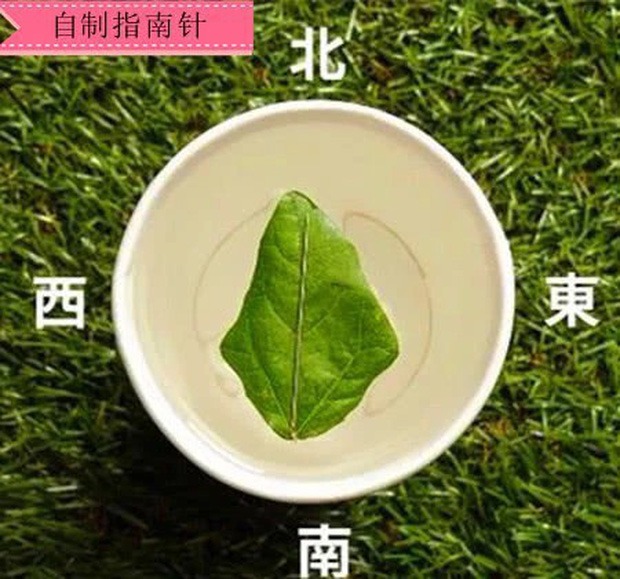 Những mẹo hay khi đi cắm trại ngoài trời1