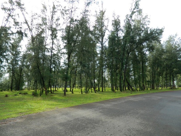 Nơi trốn nắng nóng lý tưởng tại Mũi Si Cửa Tùng 2