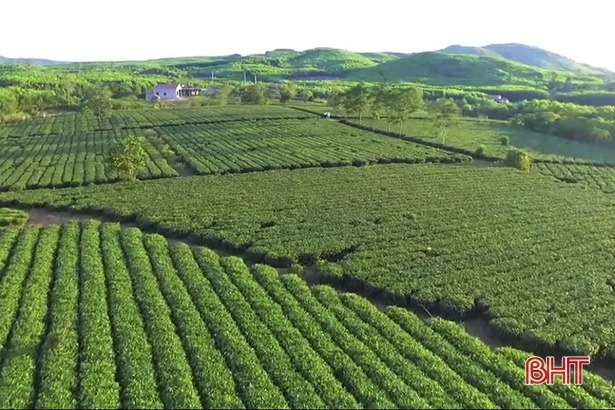 Top 10 điểm đến hấp dẫn tại Hà Tĩnh10