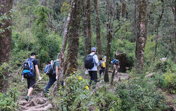 Top những cung đường trekking nên trãi nghiệm ở Việt Nam 1