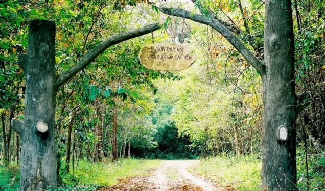 Top những cung đường trekking nên trãi nghiệm ở Việt Nam 7