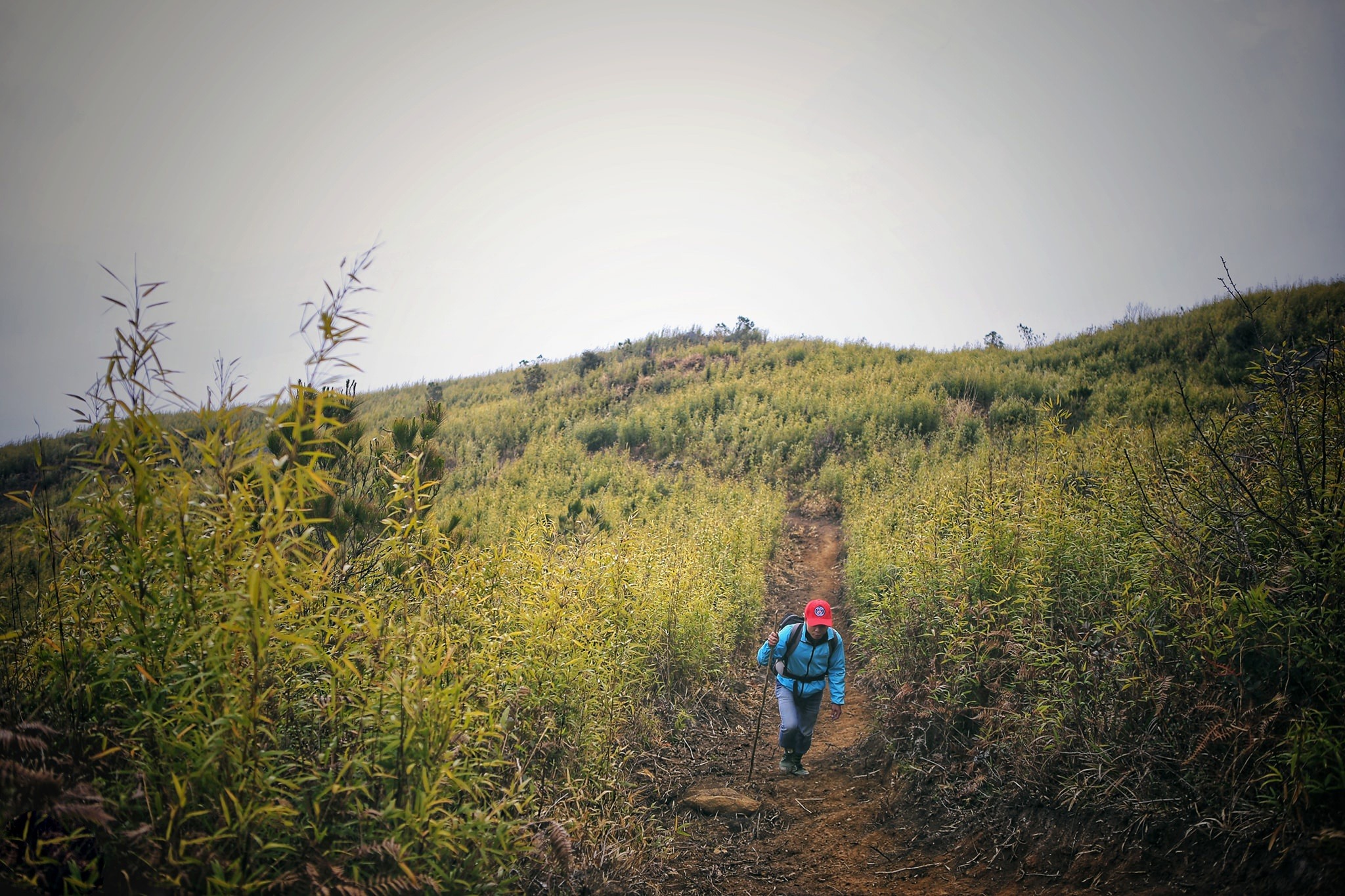 Trải nghiệm cảm giác hòa mình giữa thiên nhiên trên đỉnh Tà Xùa 10