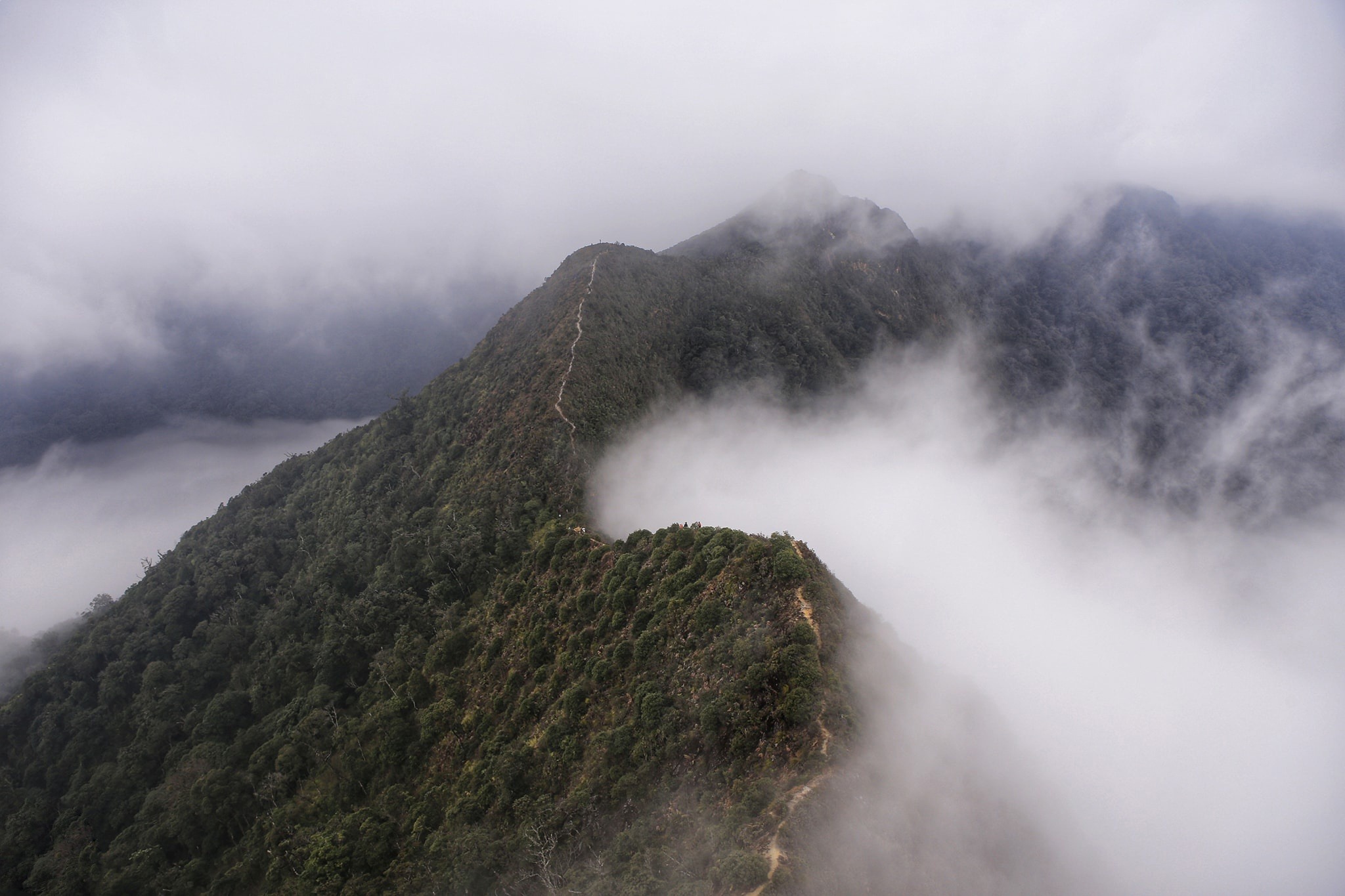 Trải nghiệm cảm giác hòa mình giữa thiên nhiên trên đỉnh Tà Xùa 2