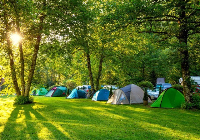 Trải nghiệm cắm trại qua đêm giữa không gian xanh KĐT Ecopark1