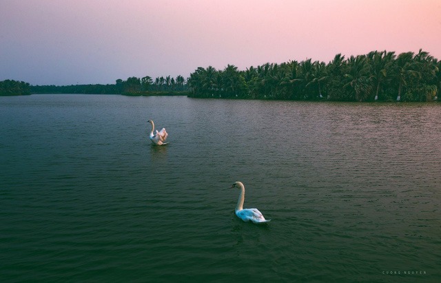 Trải nghiệm cắm trại qua đêm giữa không gian xanh KĐT Ecopark5